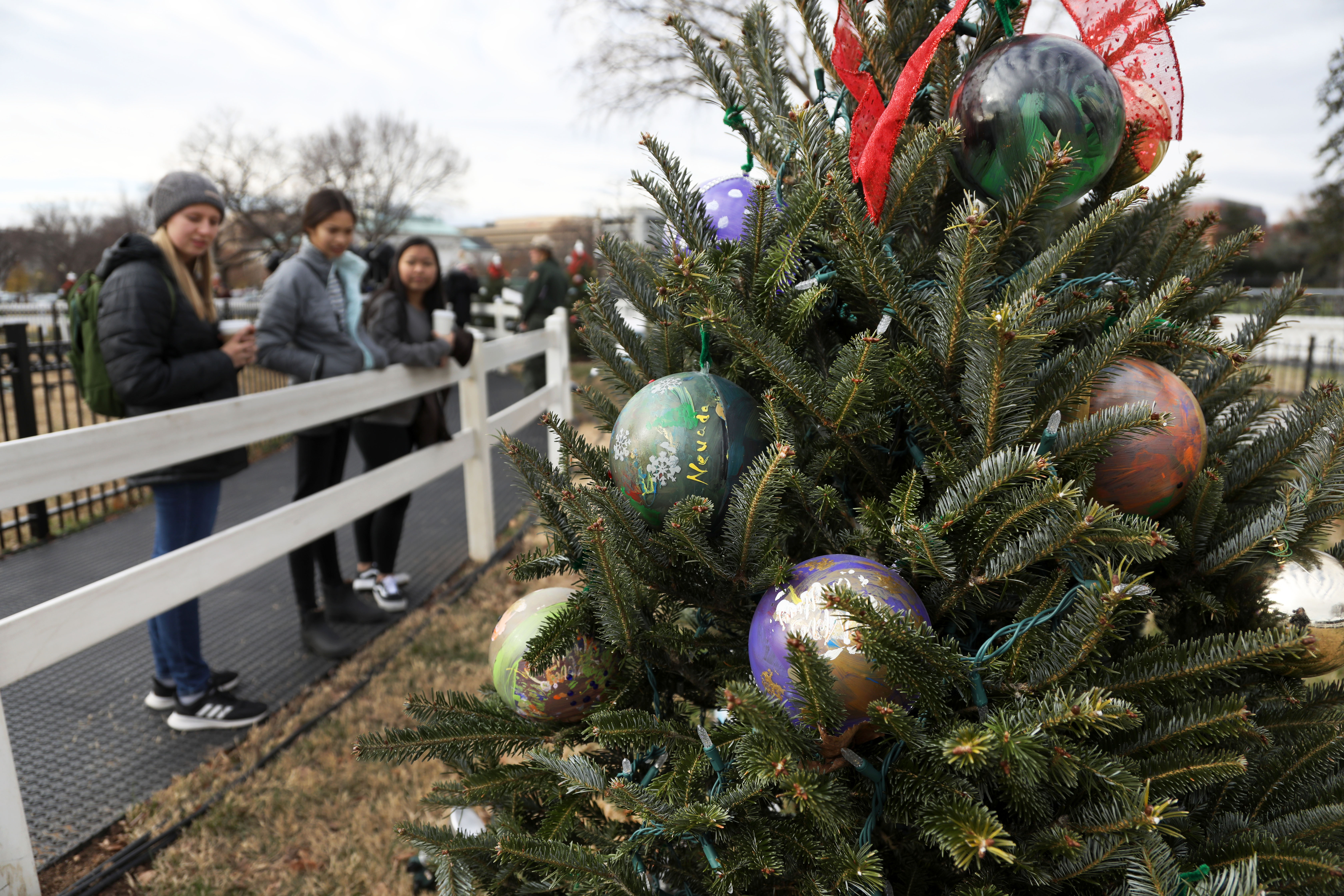 White House Christmas Trees 2025 For Sale