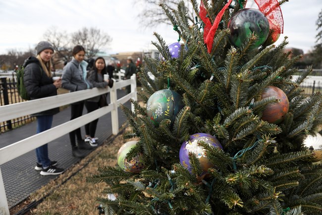 Several young women view a small Christmas tree bedecked in spherical ornaments.