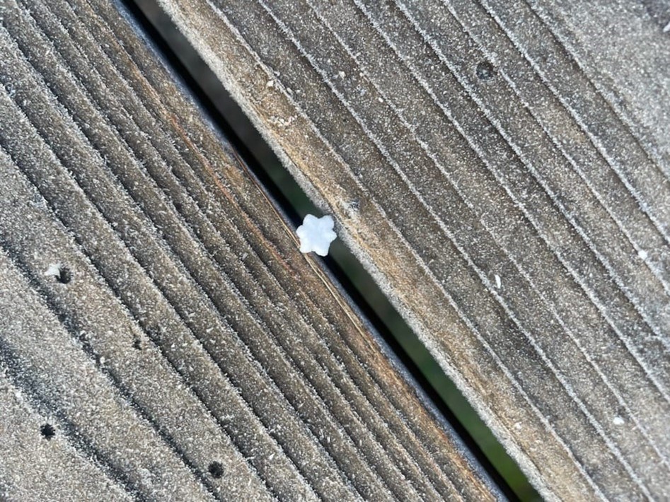 A single white snowflake sitting in a narrow crack amidst two slabs of brown wood.