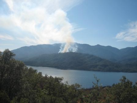 Dog prescribed burn from Southfork Lookout Mountain Road