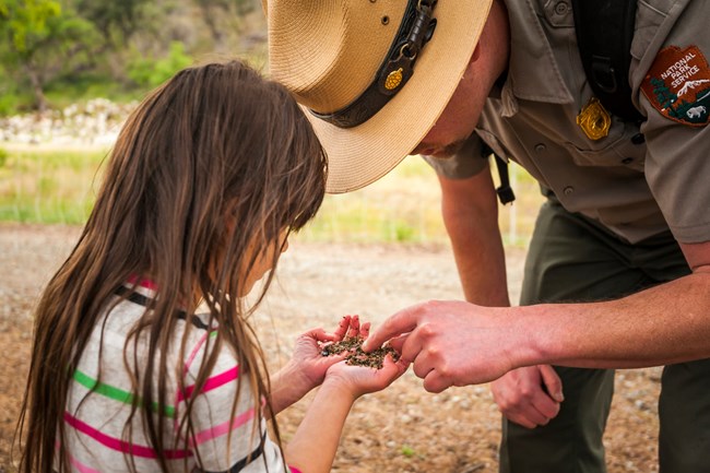 A young female visitor with long hair showing a park ranger some sand. The ranger in flat hat is bent down looking at sand.