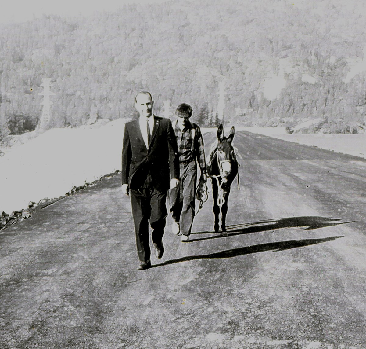 Paul McDermott and donkey, escorted by a Secret Service agent, walks across the Clair A. Hill Whiskeytown Dam during President John F. Kennedy's dam dedication ceremony. McDermott's donkey has a jug of whiskey attached to it.