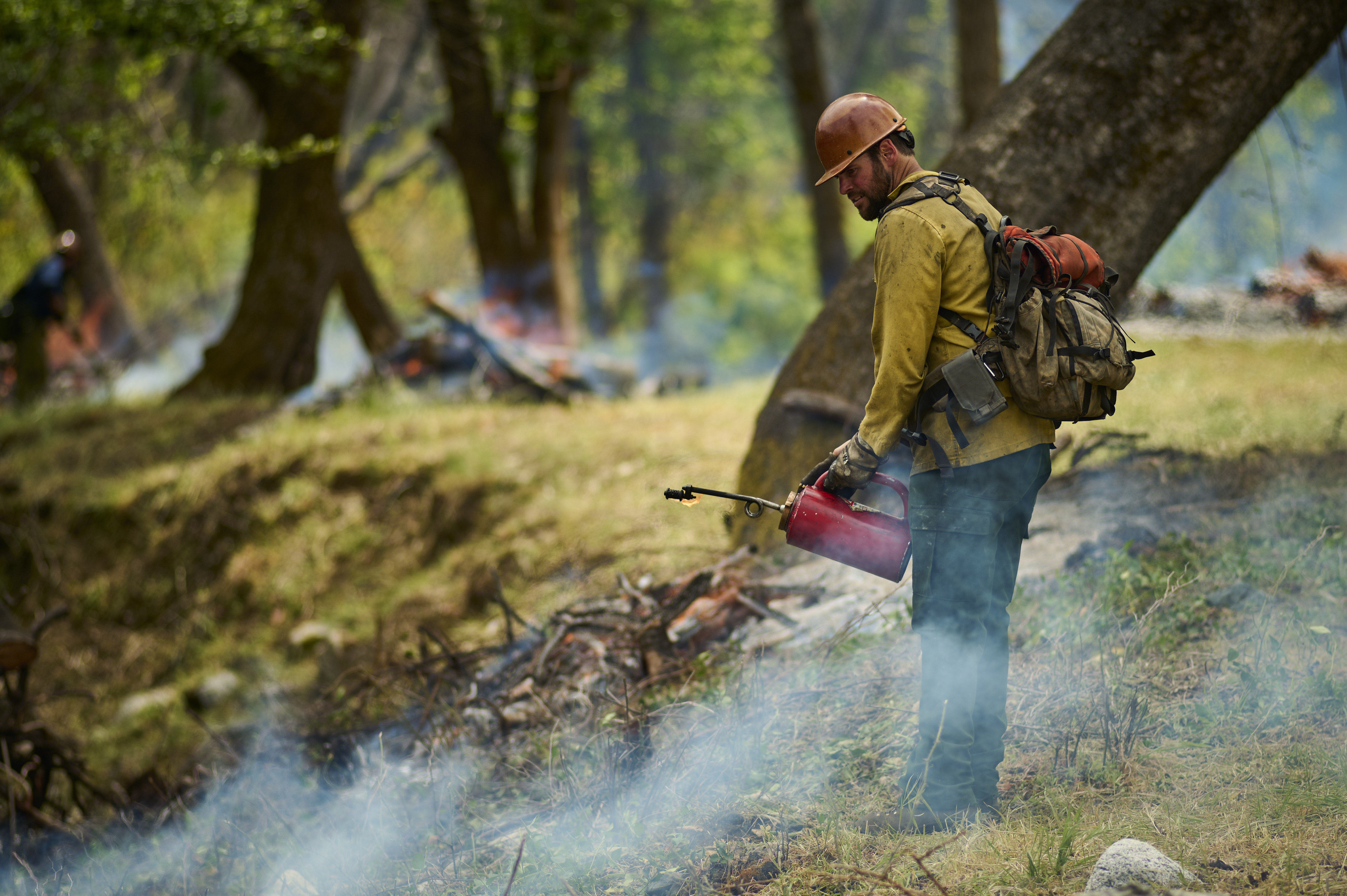 Firefighter at Whiskeytown