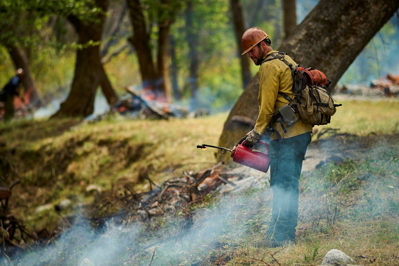 Firefighter at Whiskeytown