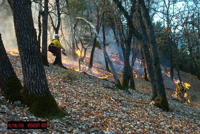 ignition on prescribed burn ignition on prescribed burn