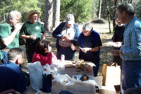 Mushroom field trip participants identifying specimens Mushroom field trip participants identifying specimens