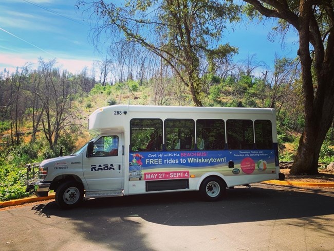 Beach Bus! A white transport shuttle in a parking lot at Whiskeytown.