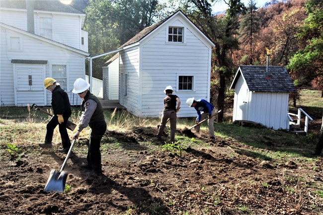 Park staff and volunteers restoring the side yard of the Camden House after firefighters bulldozed a line through the yard to protect it from the fire.