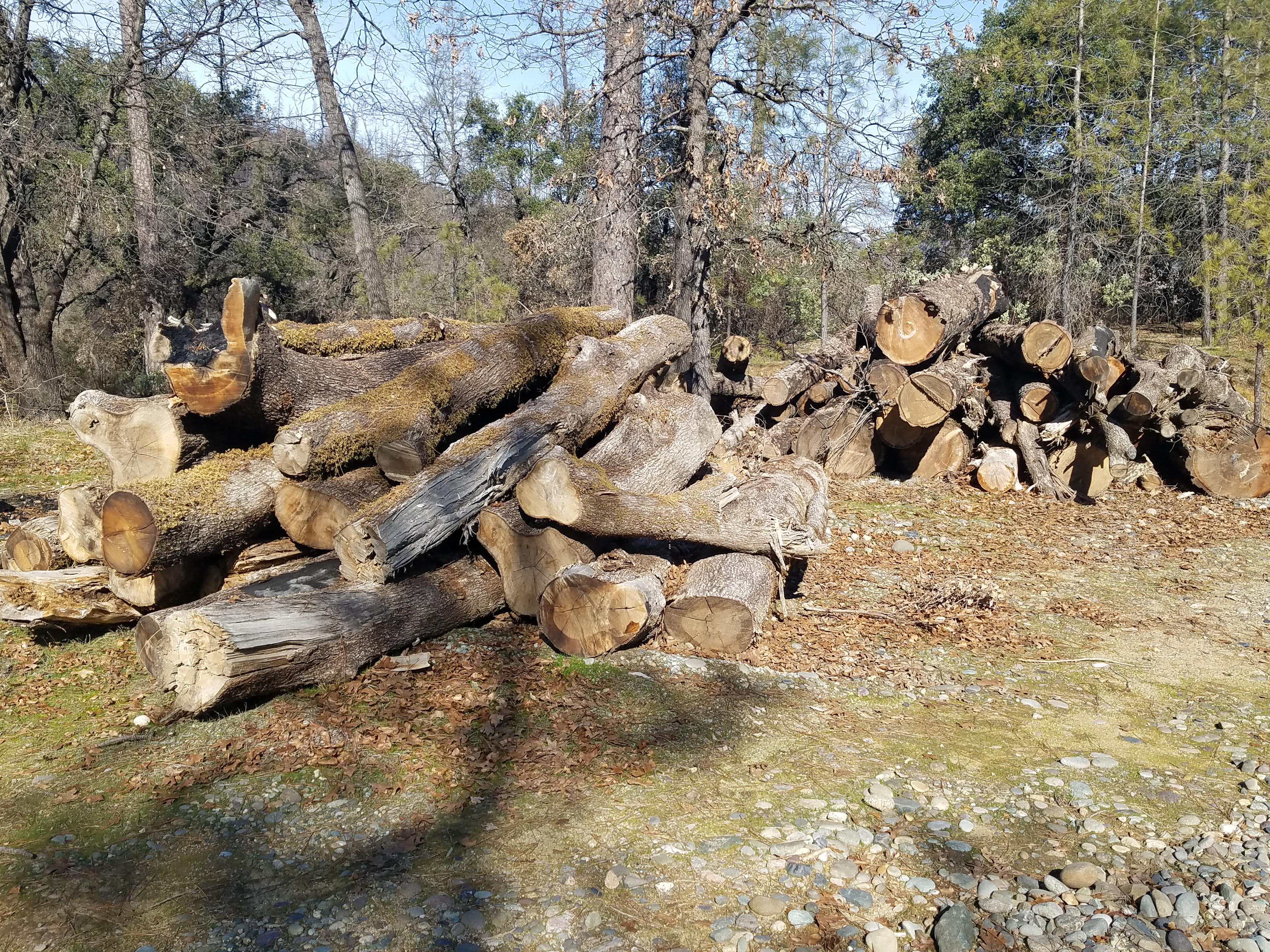 Log Deck at Whiskeytown NRA Log Deck at Whiskeytown NRA