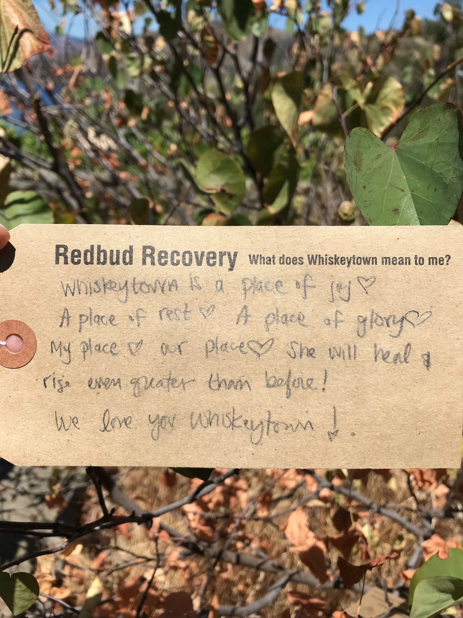 Photo of Redbud Recovery Project Tag