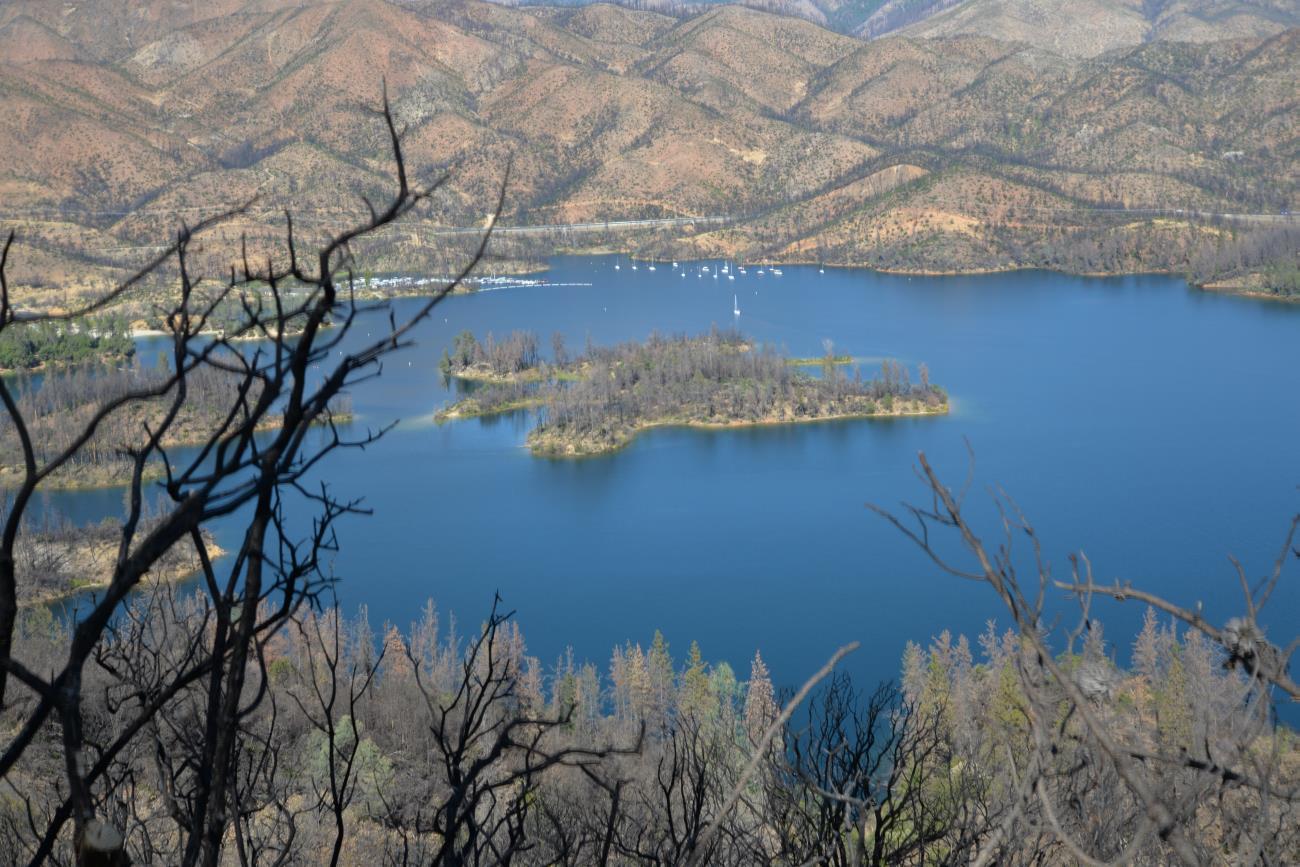 Whiskeytown NRA South Shore Area Whiskeytown NRA South Shore Area