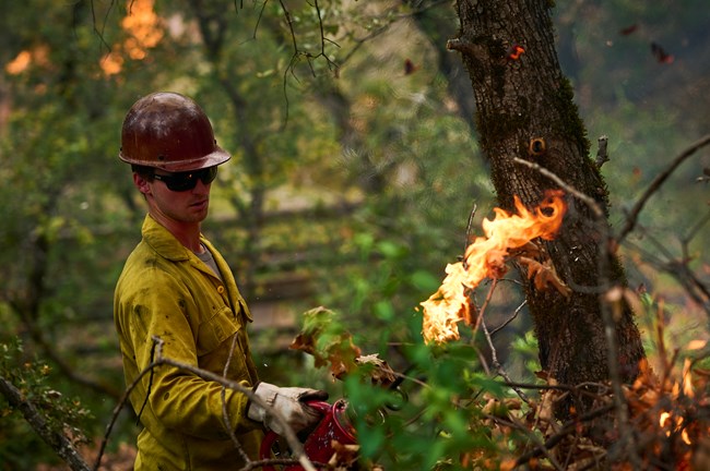 WHIS_PrescribedBurn_APR20_22_KM_008