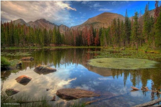 Image from one of Braveheart's residencies