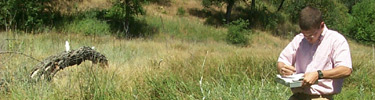 Technician collecting fire monitoring data