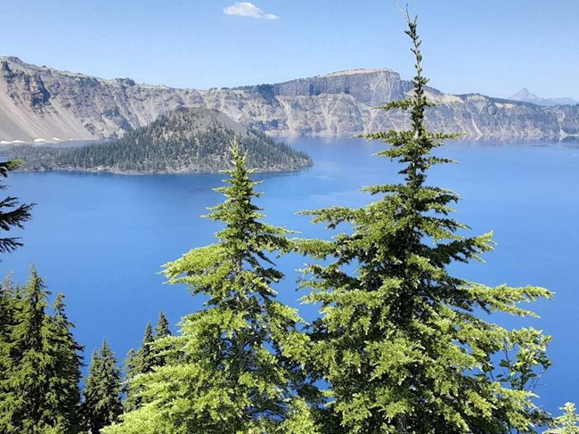 Crater Lake, a sky-blue lake surrounded by mountains and fir.