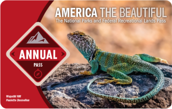 2024 America the Beautiful Annual Pass