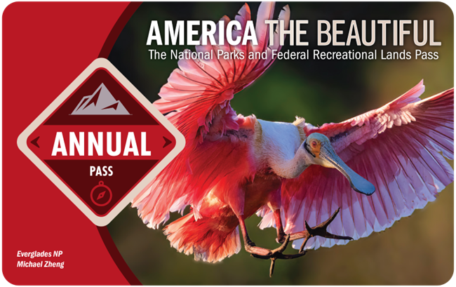 Close-up photo of America the Beautiful Annual Pass card. Large pink bird with wings outstretched.