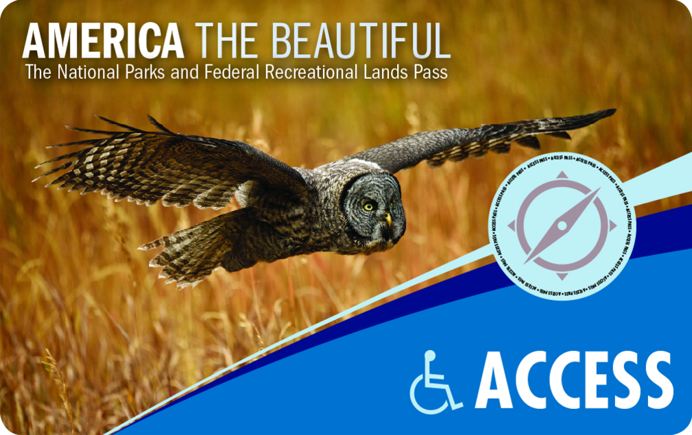 Photo of Access Pass showing bird of prey amongst dry grassland