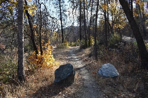 Buck Hollow Trail