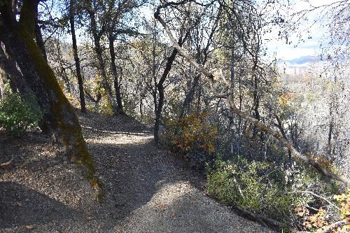 Davis Gulch Trail
