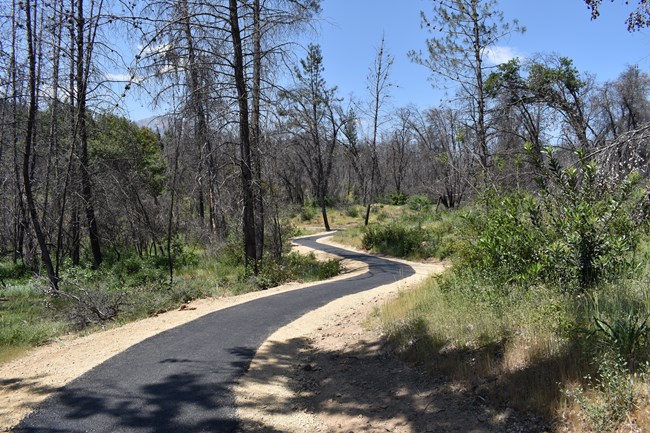 Guardian Rock Trail