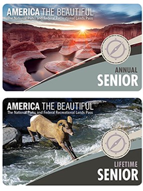 Senior Annual and Lifetime Passes
