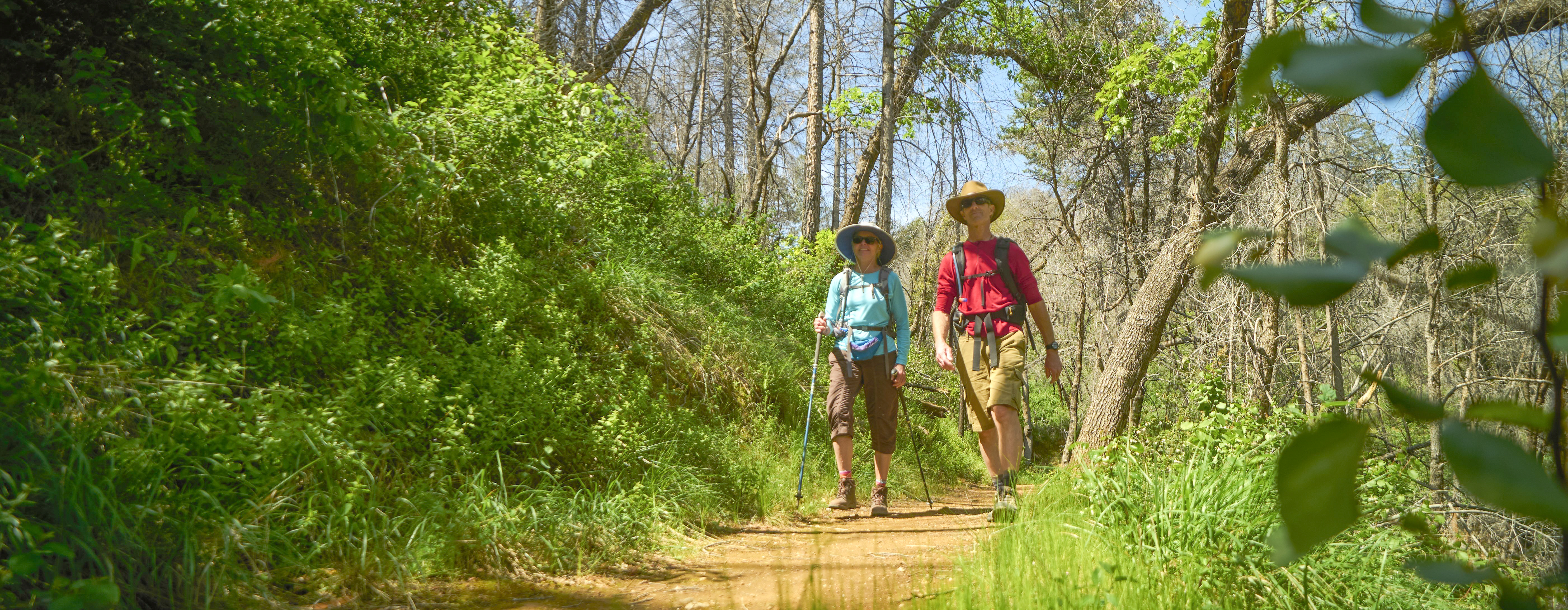 Visitors hiking (NPS/K. Moses).