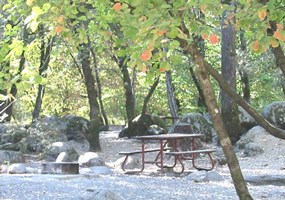 Brandy Creek picnic site.