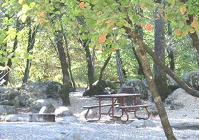 Brandy Creek picnic site. Brandy Creek picnic site.