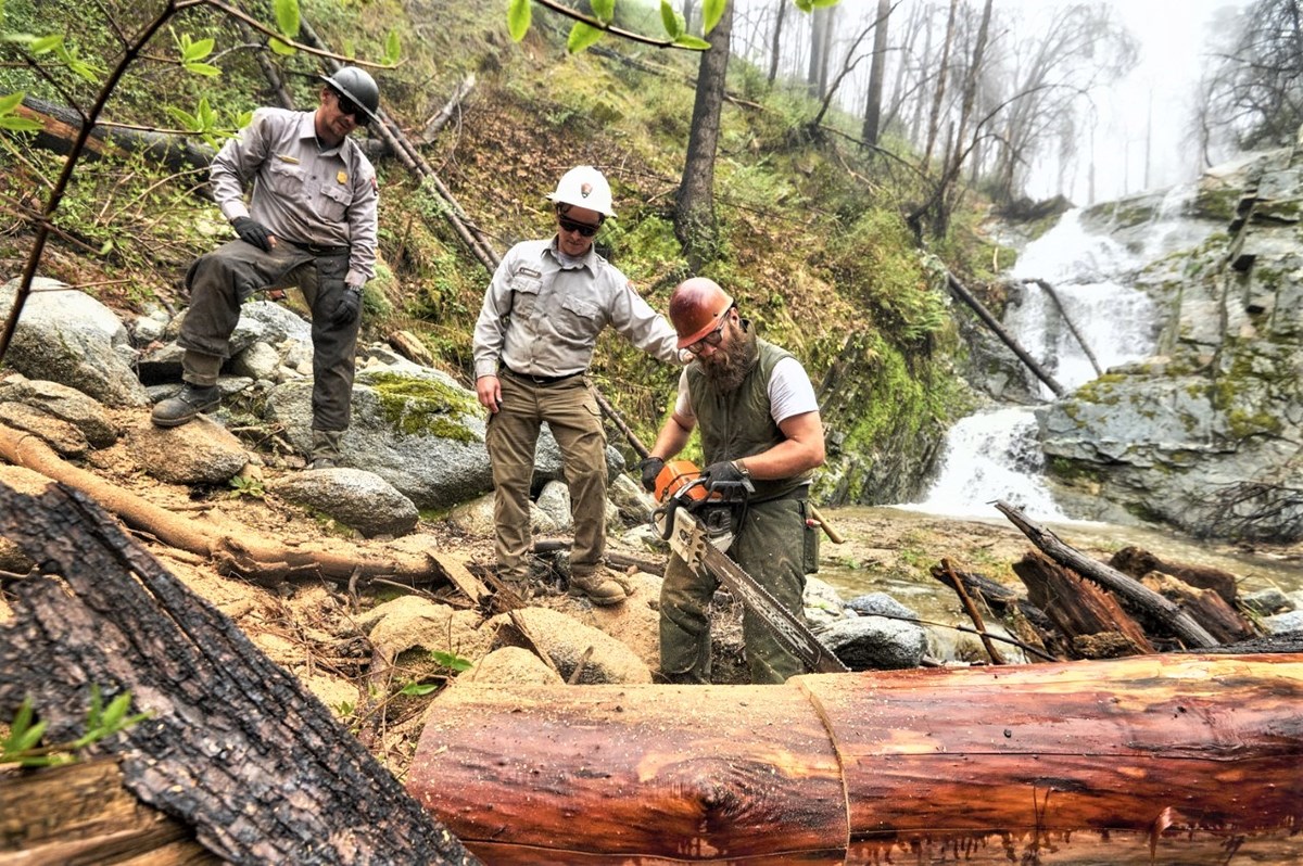 Three park employees in green pants, gray shirts, and hard hats, in front of Boulder Creek Falls during a wet day. One of the employees is cutting a large log with a chainsaw. The whitewater of the falls in background.