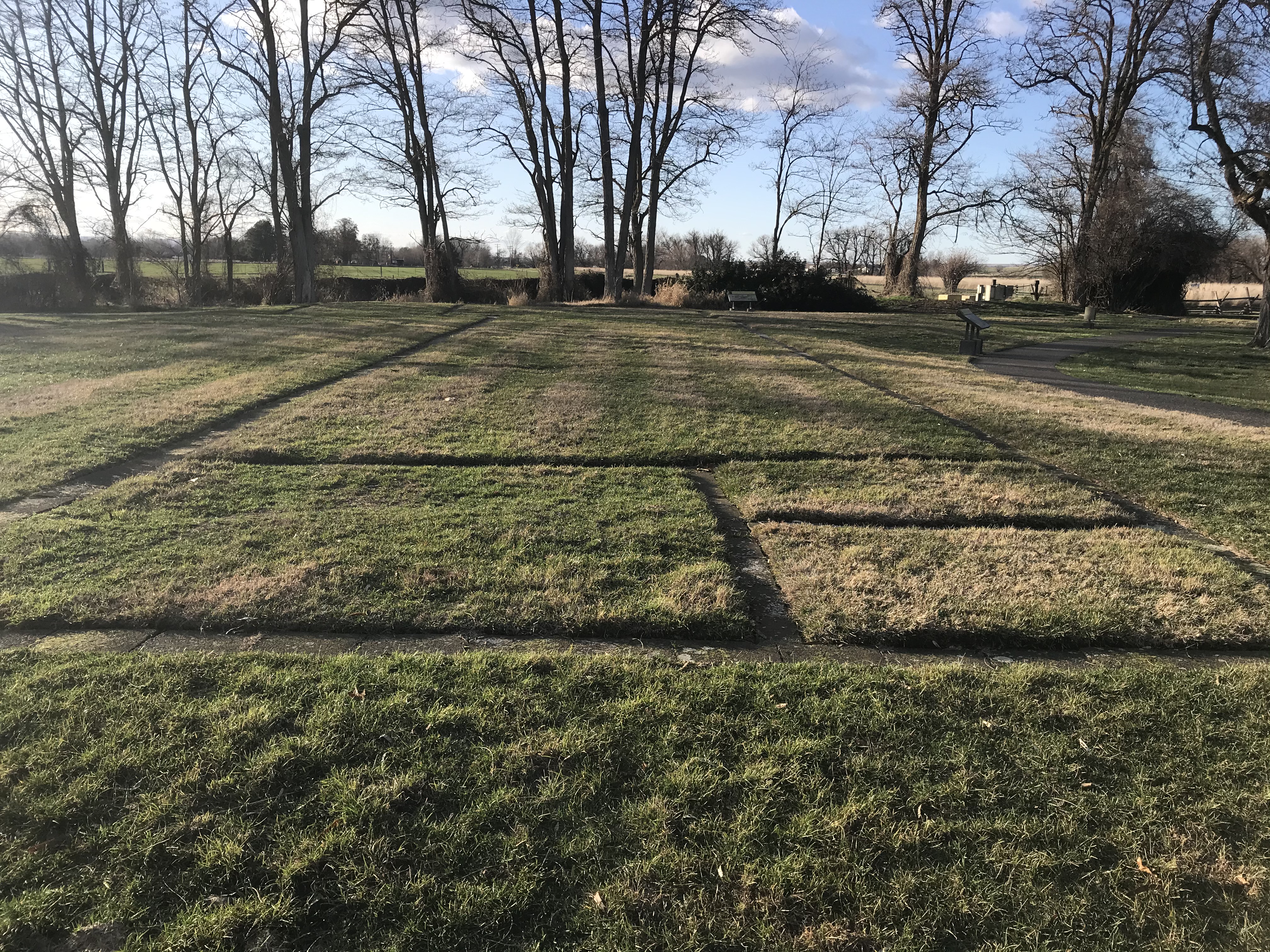 paving stones create rectangular outlines in grass