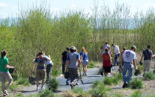 students plant shrubs along the new Doan Creek. Tall willows grow immediately adjacent to the stream.