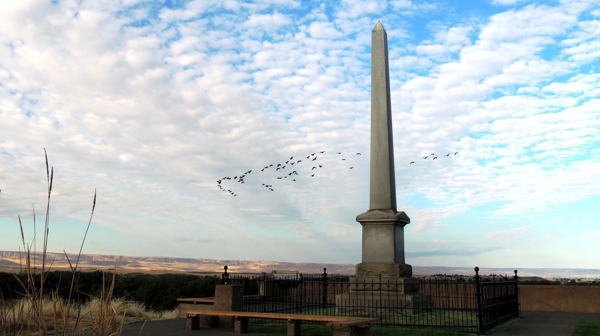 monument1 Landscape scene of monument with flock of birds flying over