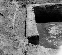 Corner of the cellar.