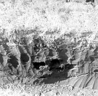 Cross section of soil layers