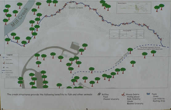 Drawing showing location of Doan Creek the irrigation ditch and where the new restored channel will be.