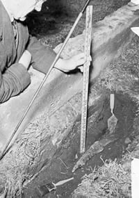 Archeologist using ruler to measure depth of uncovered object.