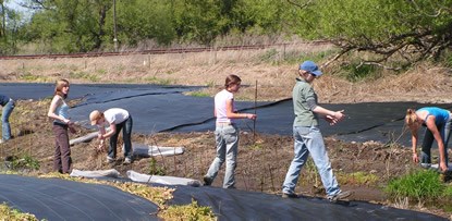 College students plant alder and willow stakes along new creek bed.