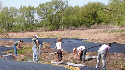 Four students and their leader plant willow and alder sticks on the banks of the new Doan Creek channel. The railroad tracks are immediately behind them.