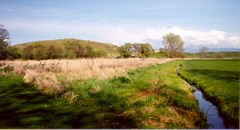 Photo of grounds including lawn area, part of the historic irrigation ditch, a revegetation area with tall native grasses, and the hill, located in the background. Photo of grounds including lawn area, part of the historic irrigation ditch, a revegetation area with tall native grasses, and the hill, located in the background.