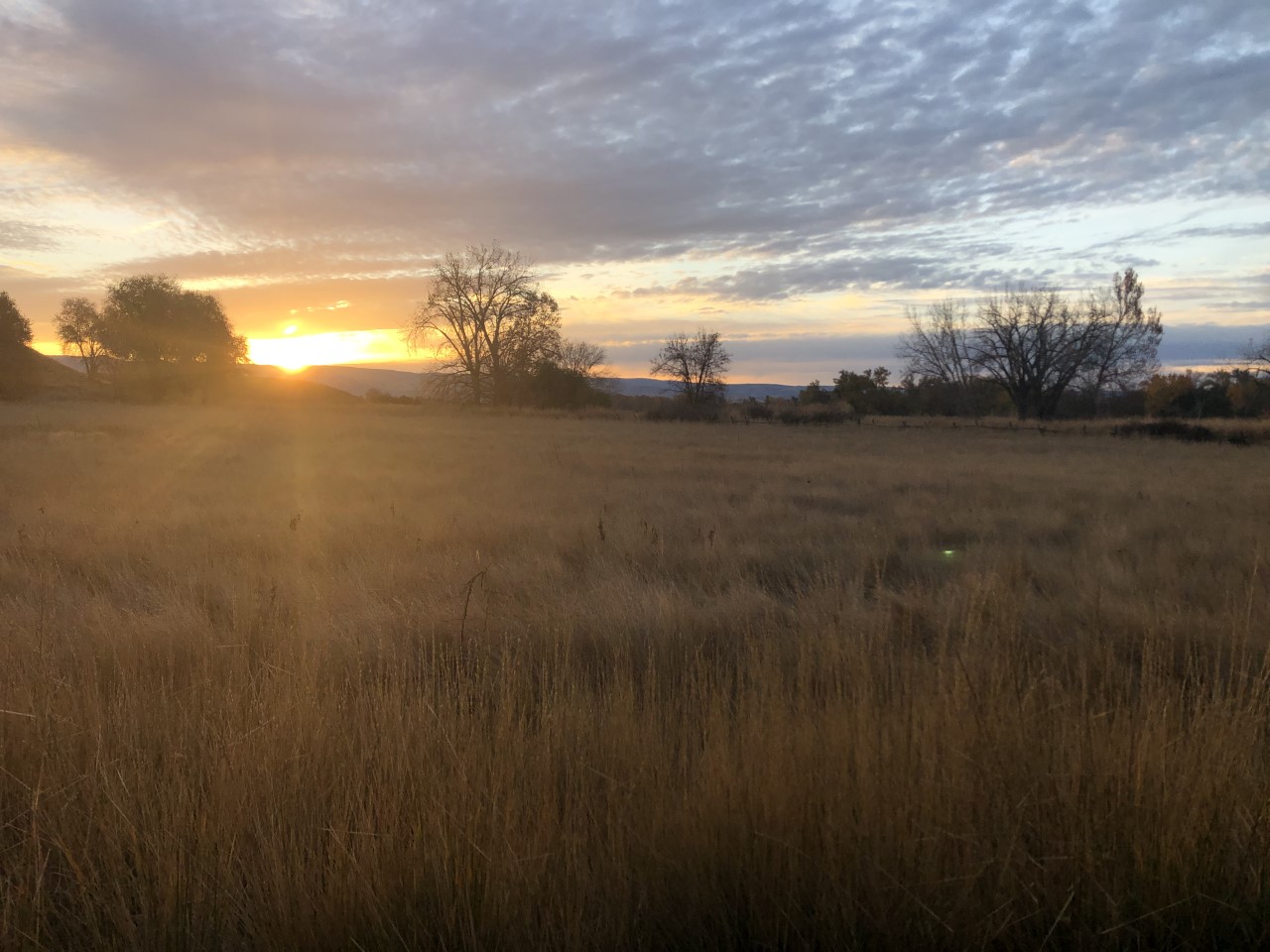 Sunset happens over the blue mountains on a fall day An open field with yellow tall grasses and a few trees in the distance. The sun sets on a ridge along the horizon beyond the prairie field