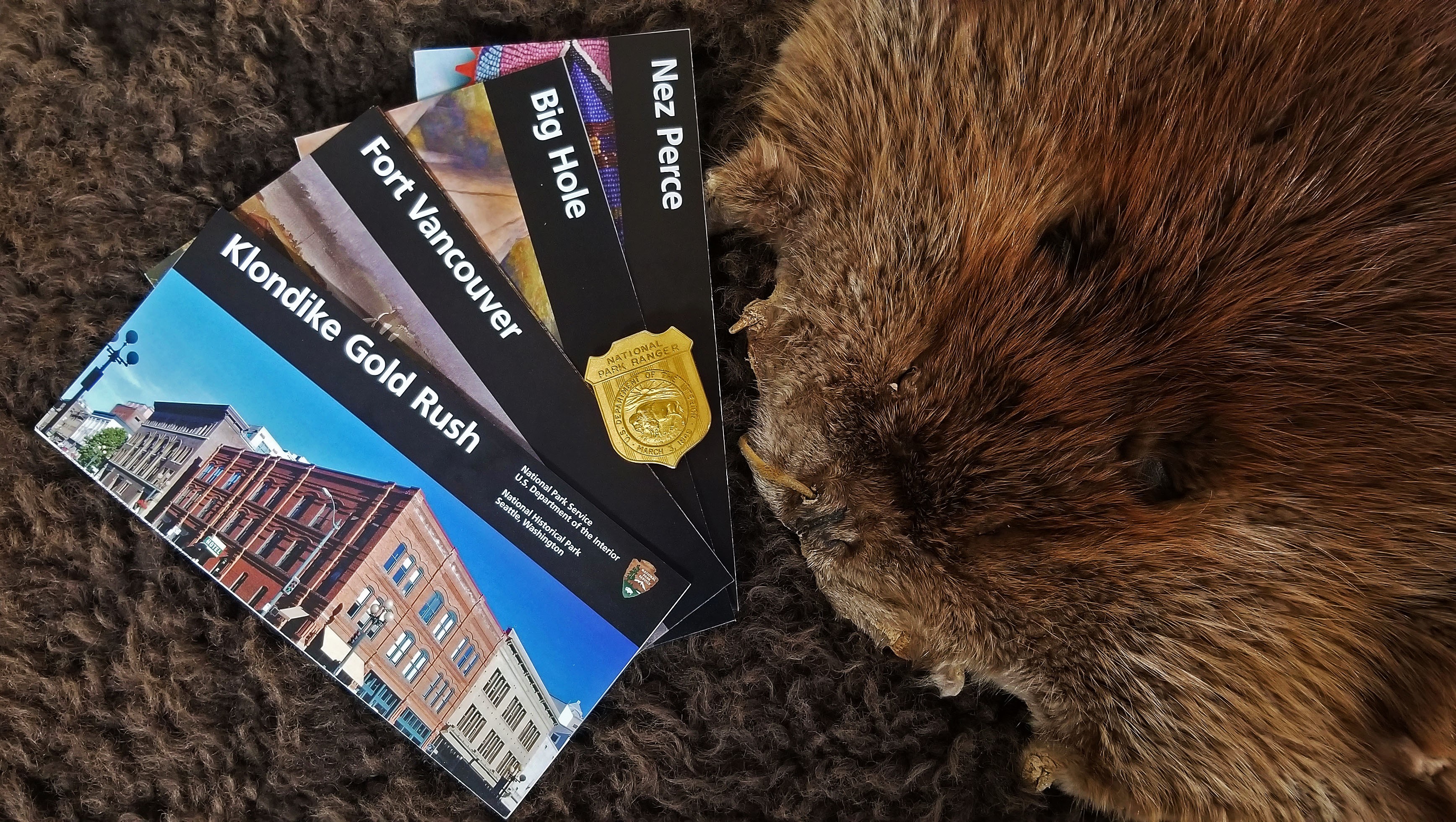 brochures, badge, and beaver fur Brochures for Klondike Gold Rush, Fort Vancouver, Big Hole, and Nez Perce sites next to a beaver fur and National Park Service badge