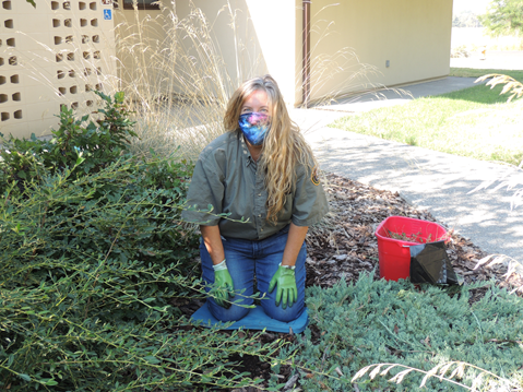 npld press release A woman wearing gardening gloves kneels in a landscape garden near a building
