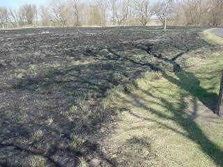 Ground has been burned and is black.