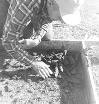 Worker with a small pile of iron pieces.