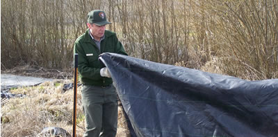 ranger spreading black mulch-cloth onto ground