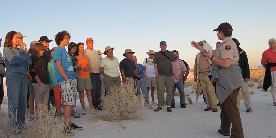 A volunteer ranger explains something to a group of people standing in the dunefield