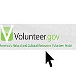 A computer mouse arrow pointing to text reading “volunteer.gov”