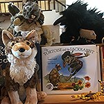 A book and stuffed animals on a shelf