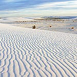 Ripples on a dune surface